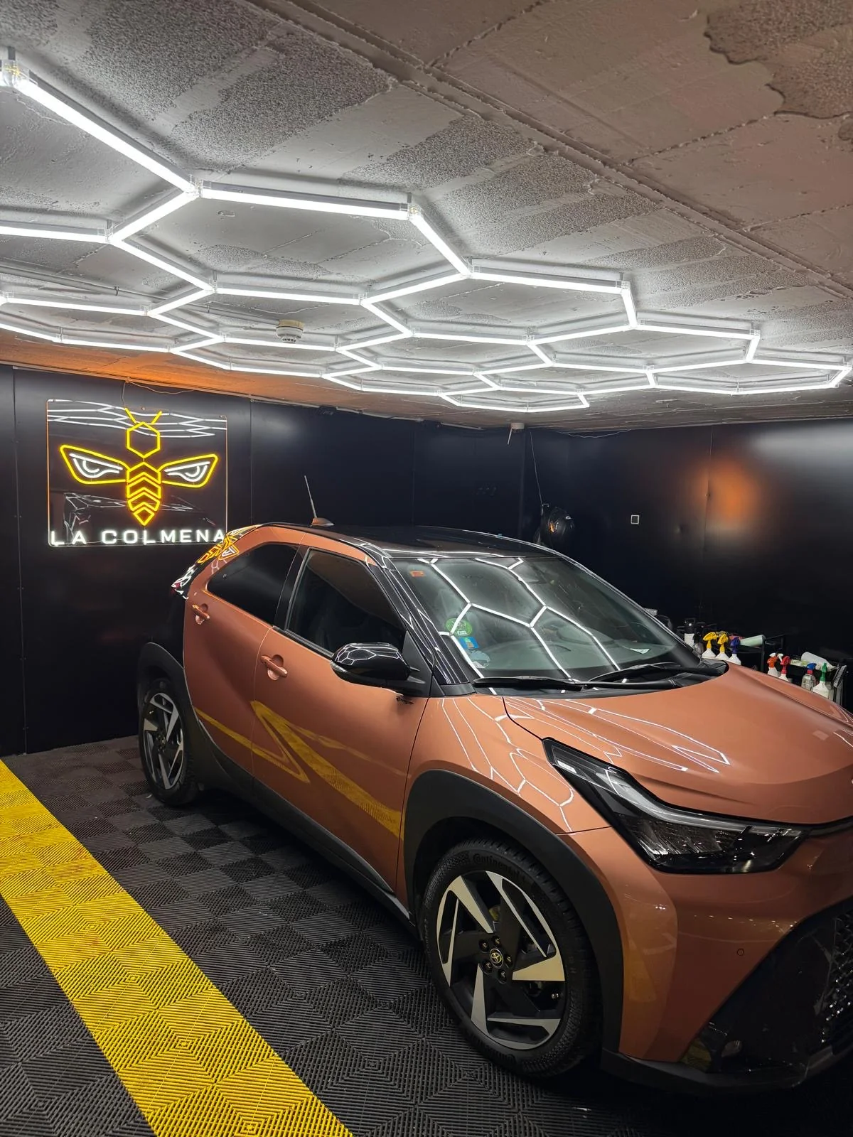 Servicio integral interior y exterior en el centro La Colmena